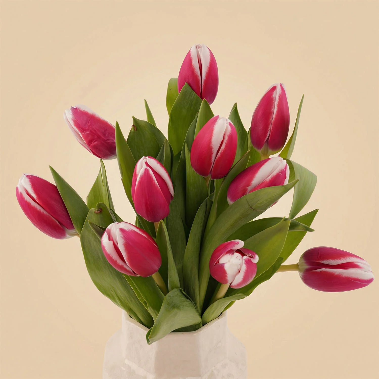 مزهرية عبير التوليب الساحرة - Image 3