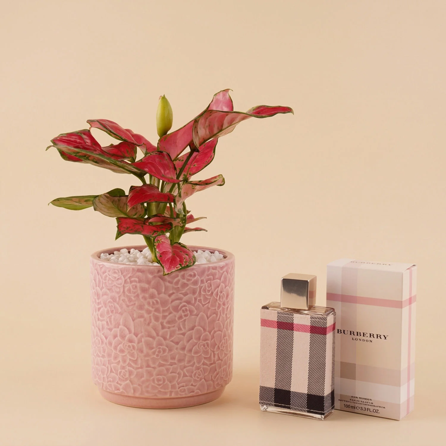 أصيص ألجومنيا مع عطر بربري لندن نسائي